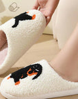 Women's Cute & Warm House Slippers