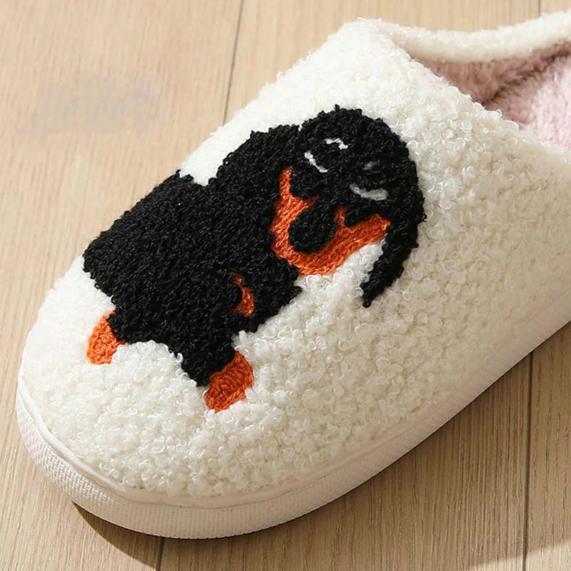 Women's Cute &amp; Warm House Slippers
